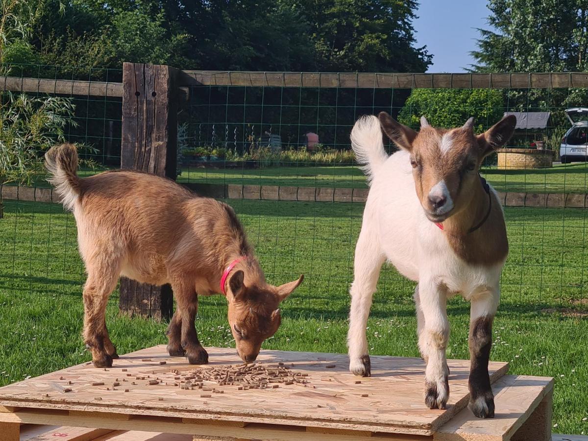 Gite Le Manege Normand Grand-Camp  Kültér fotó